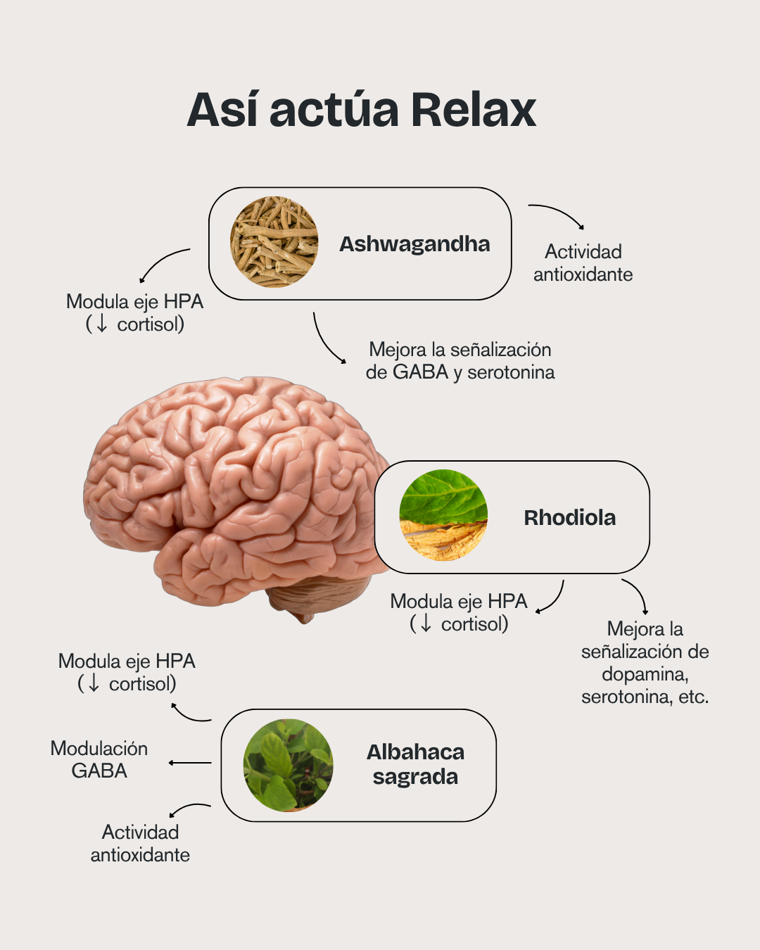 Relax - Pack 2 Unidades