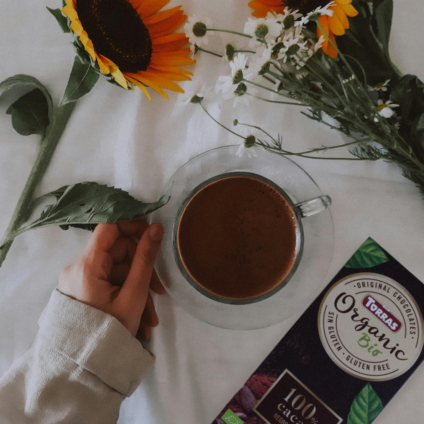 Chocolate Orgánico Negro 100% Cacao