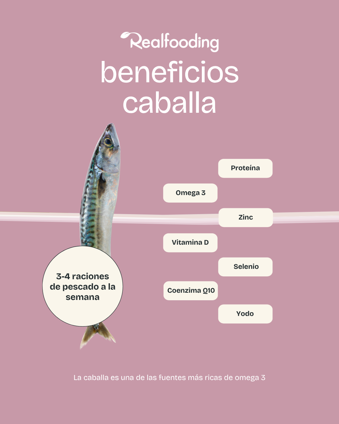 Pack Conservas de Pescado Salvaje en AOVE