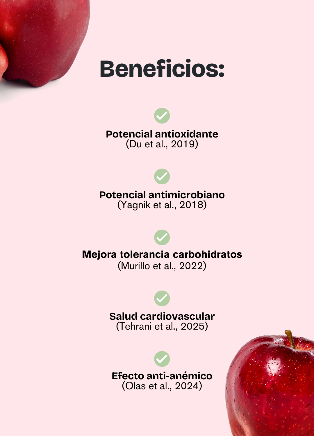 Vinagre Real de Manzana - Pack 3 Unidades