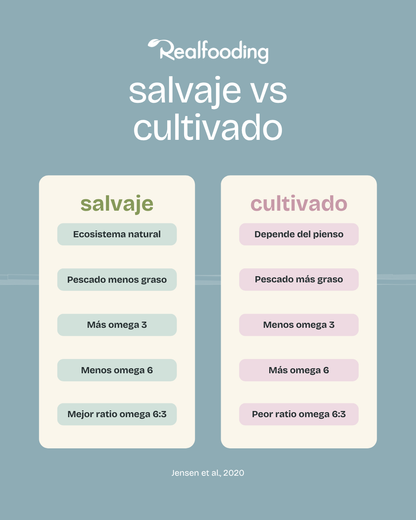 Pack Conservas de Pescado Salvaje en AOVE