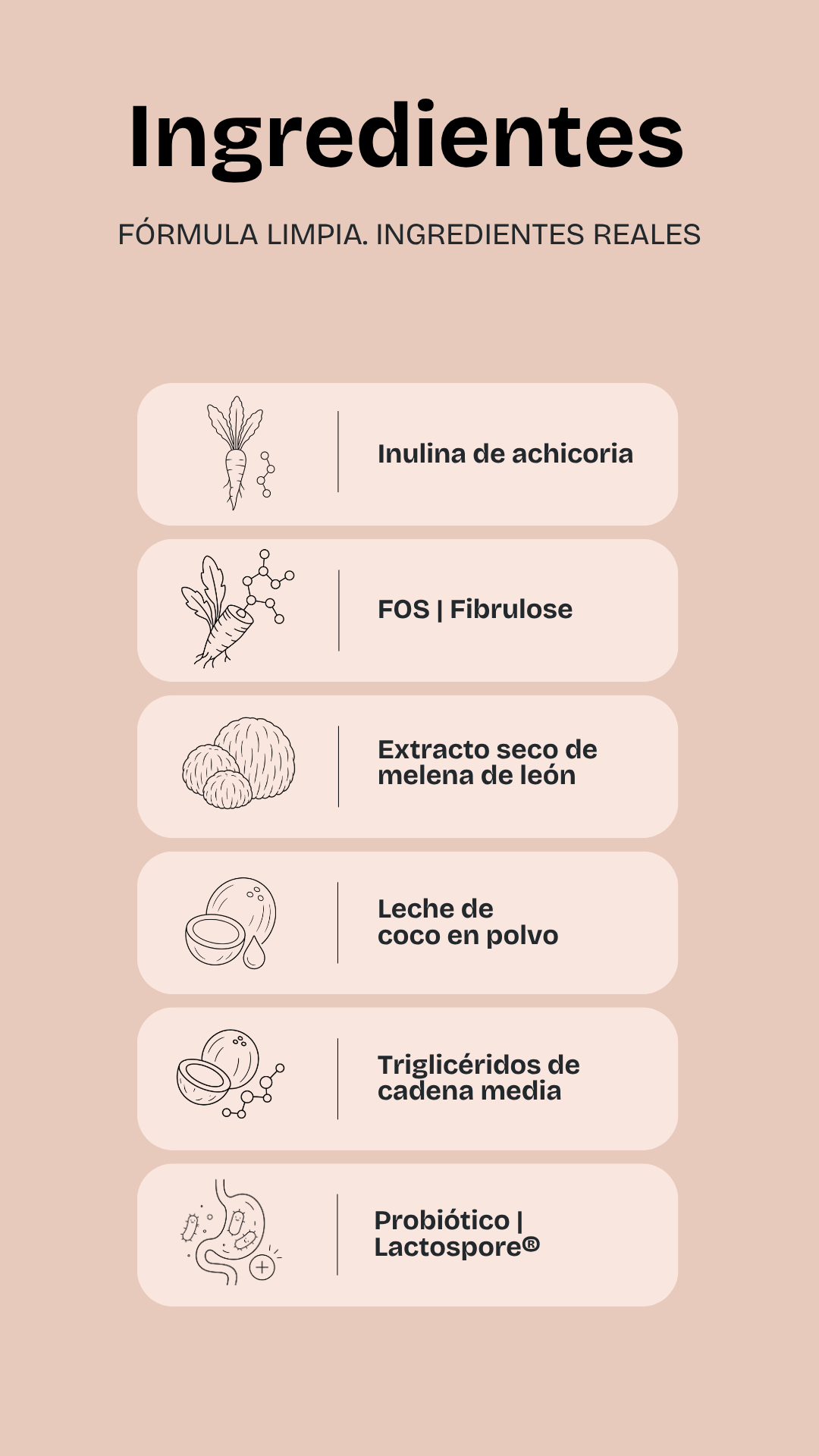 Microbiotic - sabor Cacao