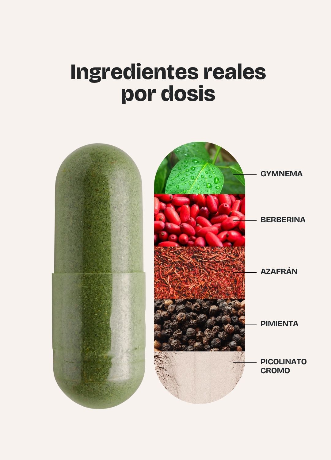 Metabolic