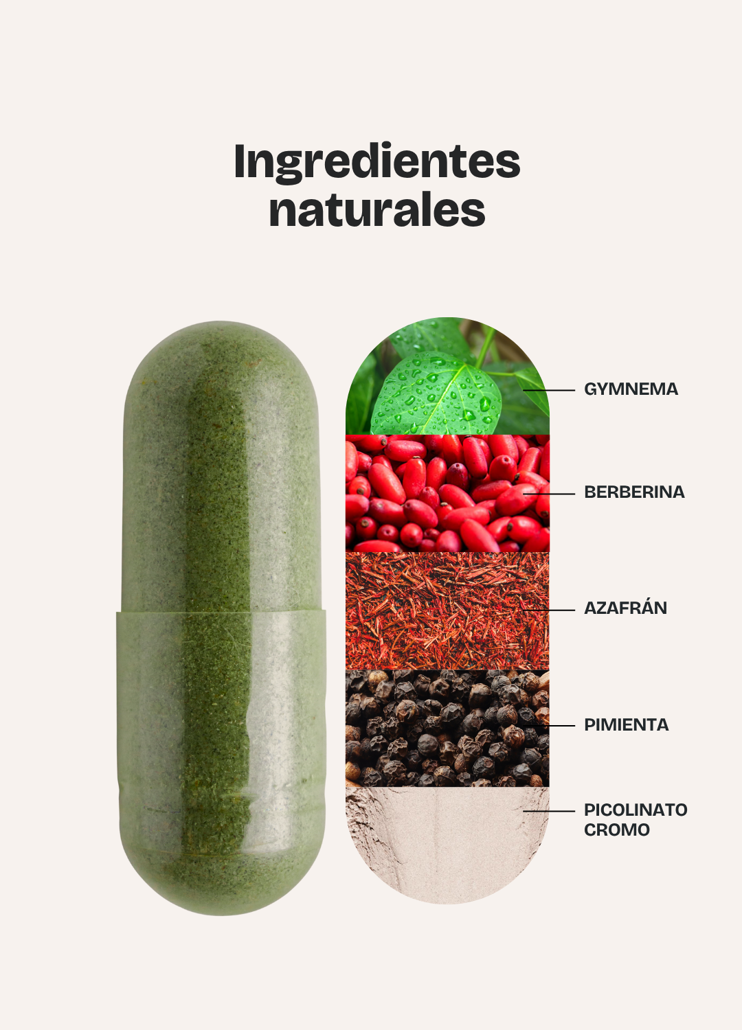 Metabolic